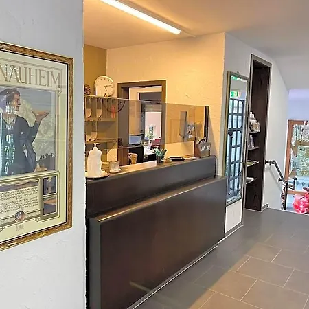ホテル Brunnenhof 3*